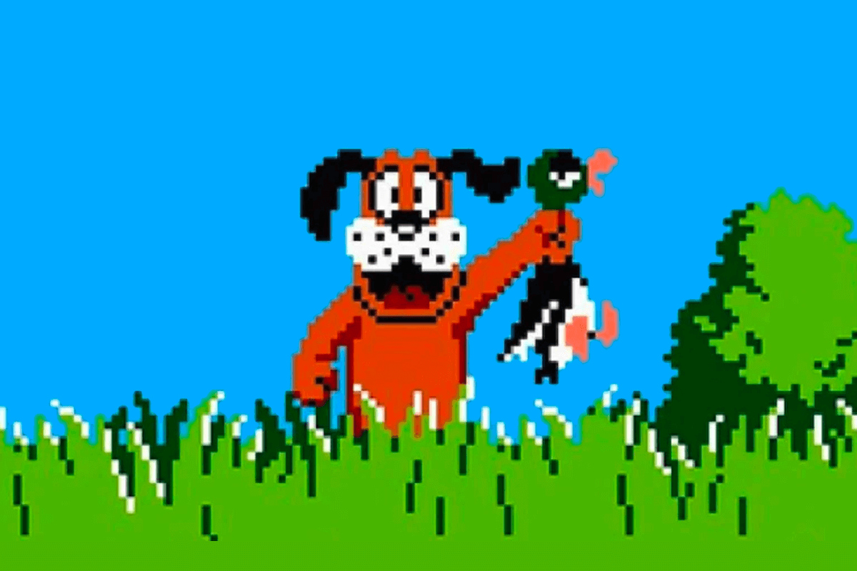 Introduction smnarnold